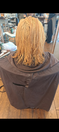 BLEACH＝美髮師的良心 