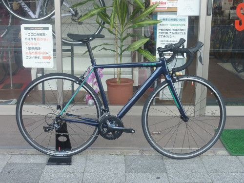 Ｃ－キャドオプティモ・ミッドナイト.JPG