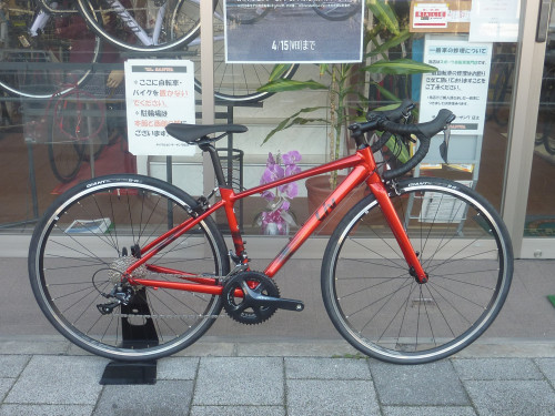 Ｇ－アヴェール1チェリー.JPG