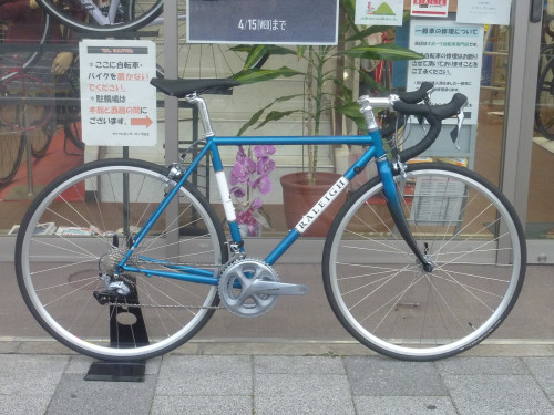 ラレー　Carlton　F　ブルー.JPG