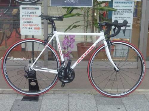 アンカー　ホワイト.JPG