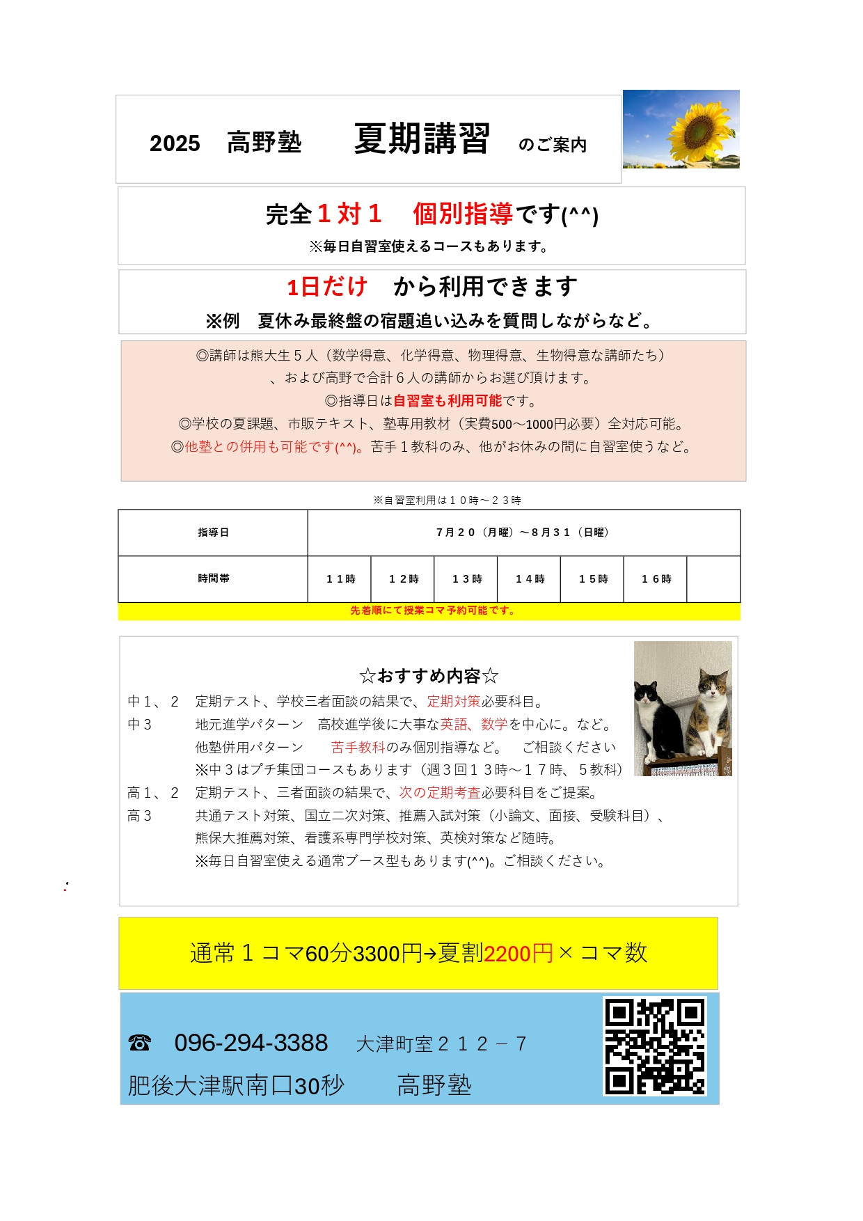 夏スク
