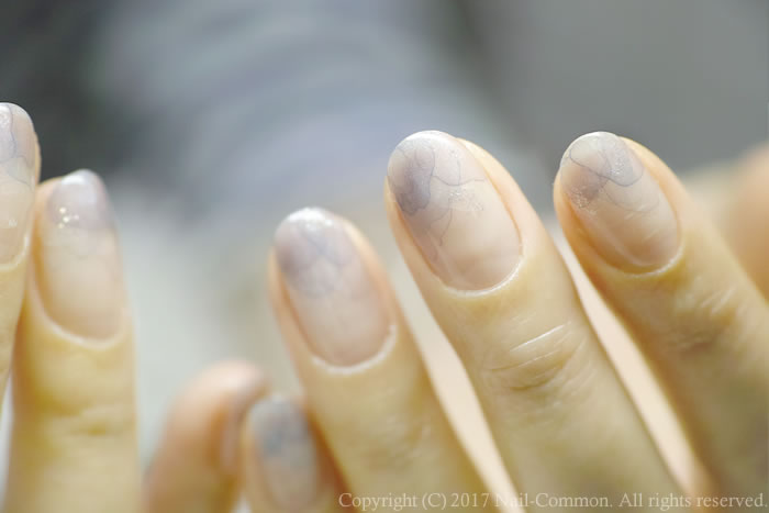 Hydrangea nail 