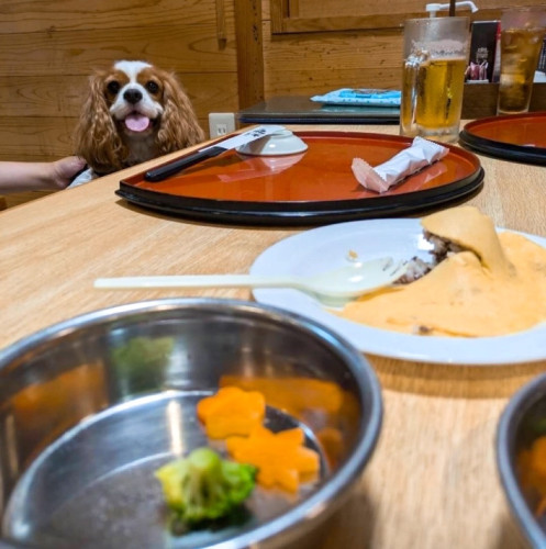 はなちゃん、まるちゃんとお誕生日会♬*°