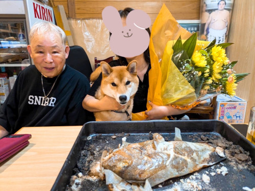 茶太郎くんのママさん、お誕生日おめでとうございます╰(*´︶`*)╯