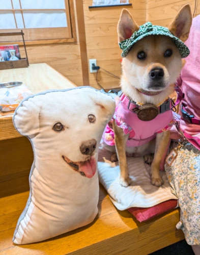 IMG_0581.jpeg