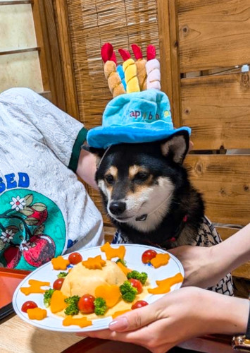 虎まるちゃん5歳( * ॑꒳ ॑*)誕生日おめでとうございます!!