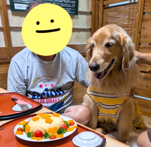 レオンちゃん、10歳、おめでとうございますヾ(´︶`♡)ﾉ