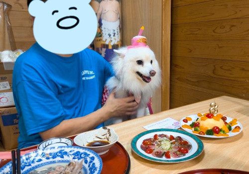 ご主人の誕生日とまくりちゃん8歳の誕生日です╰(*´︶`*)╯ｵﾒﾃﾞﾄｳ♡