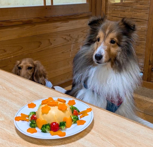 そらちゃん（右）8歳、りんくん（左)4歳、お誕生日おめでとうございます(((o(*ﾟ▽ﾟ*)o)))