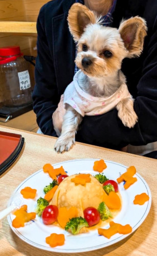 あんちゃん、5歳おめでとうございます╰(*´︶`*)╯♡