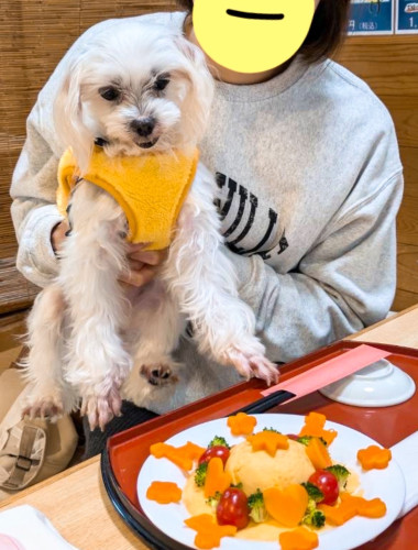 ねむちゃん5歳、お誕生日おめでとうございます٩(๑′∀ ‵๑)۶•*¨*•.¸¸♪