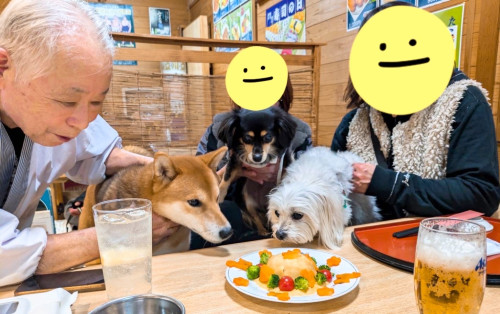 まつりちゃん（写真中央）2歳誕生日、おめでとうございます🎵茶太郎くん（左）、のんくん（右）と一緒にお祝いです♡