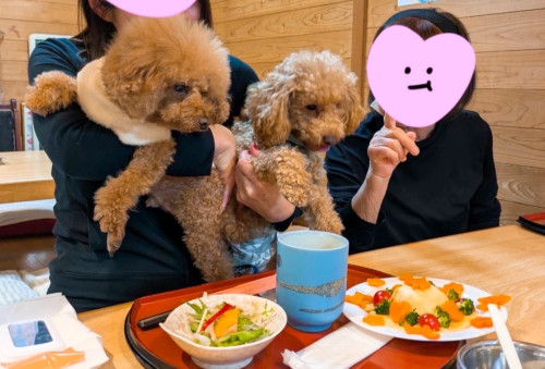 ぽぽちゃん（右）2歳誕生日おめでとうございます。もかくん9歳（左）も一緒にお祝いです🎵