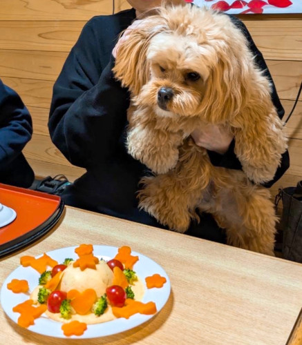 るい君2歳のお誕生日、おめでとうございますヾ(´︶`♡)ﾉ