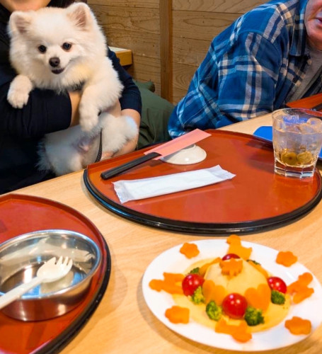 ハク君2歳おめでとうございますヾ(´︶`♡)ﾉ