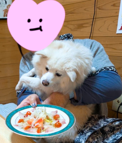 お客さまのお誕生日です！おめでとうございます╰(*´︶`*)╯