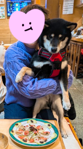 お客様のお誕生日おめでとうございます٩(๑′∀ ‵๑)۶•*¨*•.¸¸♪