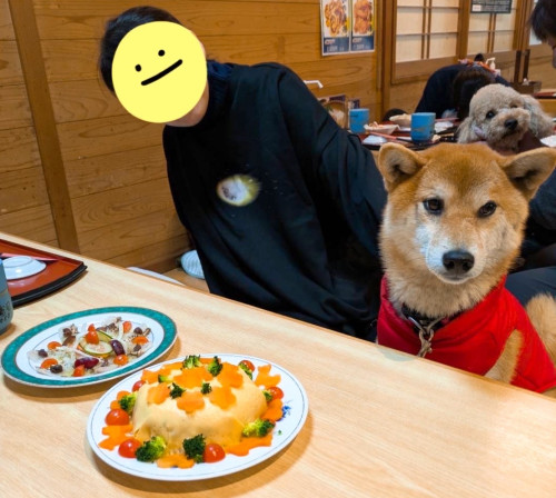 お客様とチョコ君5歳、おめでとうございますヾ(´︶`♡)ﾉ