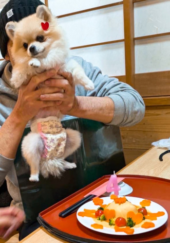 リララちゃん、4歳おめでとうございます╰(*´︶`*)╯