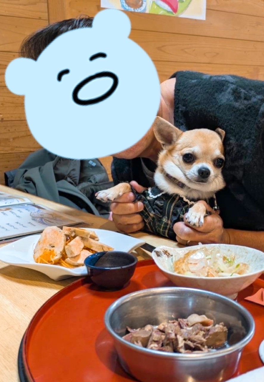 お客様誕生日です。おめでとうございます。ワンちゃんはいつもペットホテルに来るルナちゃんです♬⋆.