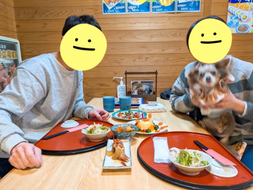 こまめちゃん16歳&ご主人、誕生日です。おめでとうございます╰(*´︶`*)╯ｵﾒﾃﾞﾄｳ♡