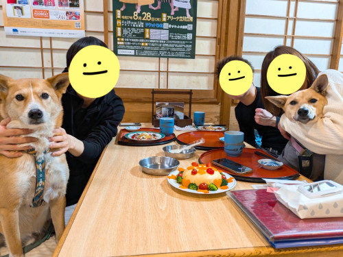 ふくちゃん9歳（左）。笑ちゃん1歳（右）お誕生日おめでとうございますヾ(´︶`♡)ﾉ