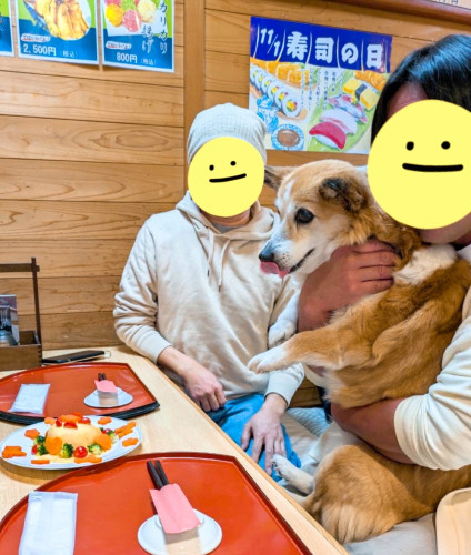 きなこちゃん15歳、お誕生日おめでとうございます٩(๑′∀ ‵๑)۶•*¨*•.¸¸♪