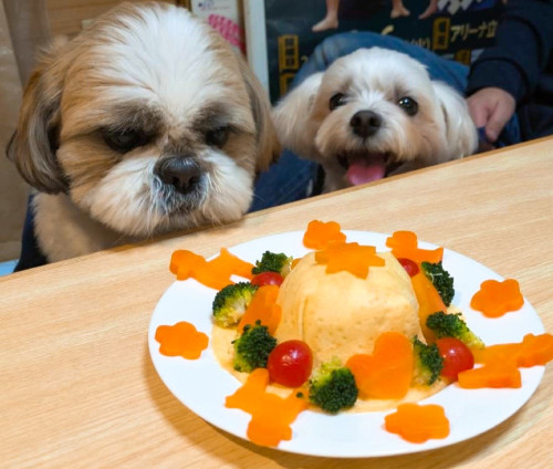 （左）るーちゃん６歳お誕生日おめでとうございます♡ピノちゃん（右、4歳）🎵