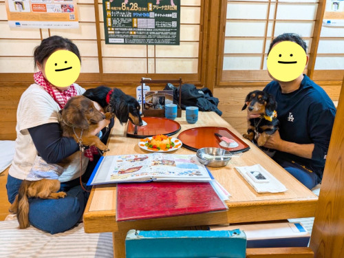 ロイちゃん1歳（中央）おめでとうございます🎵 コバンちゃん7歳（左）とトムちゃん3歳（右）も一緒にお祝いです⭐︎