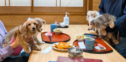 （左より）ひなちゃん、5歳おめでとうございます♡リリーちゃん、ひめちゃん、ミニーちゃん♡♡♡