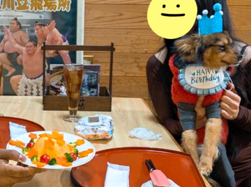 ゼウスちゃん2歳おめでとうございます╰(*´︶`*)╯♡