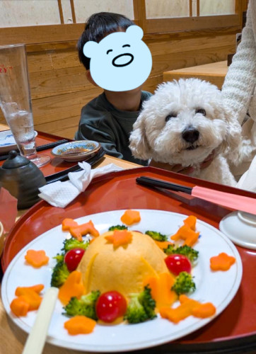 モフくん10歳、お誕生日おめでとうございますヾ(´︶`♡)ﾉ