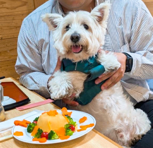 まるくん8歳、お誕生日おめでとうございますo(>∀<*)o