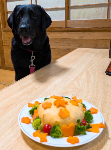 ソフィーちゃん、女の子6歳です。誕生日おめでとうございます╰(*´︶`*)╯♡