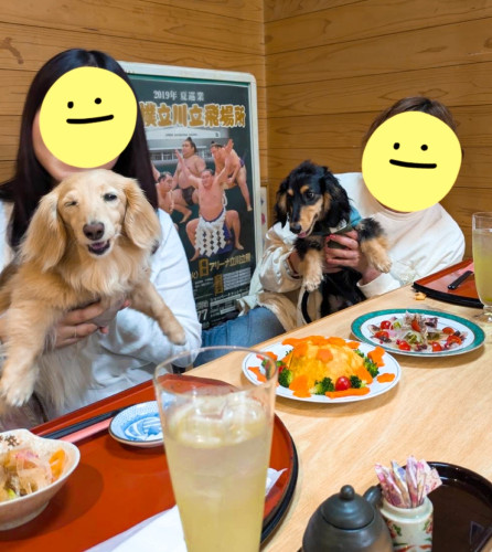 テテちゃん11歳誕生日とお客様、お誕生日おめでとうございます🎵