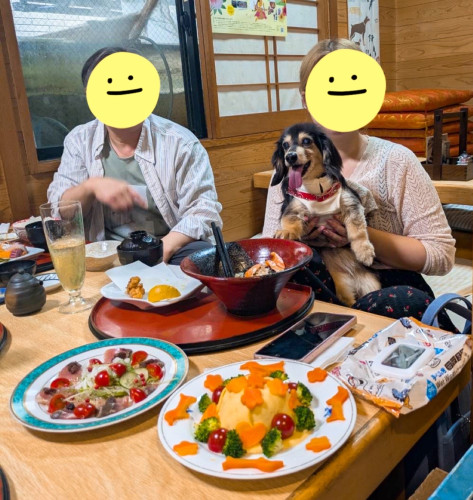 お姉さんとシホンちゃん17歳、お誕生日おめでとうございます⸜( ˶'ᵕ'˶)⸝