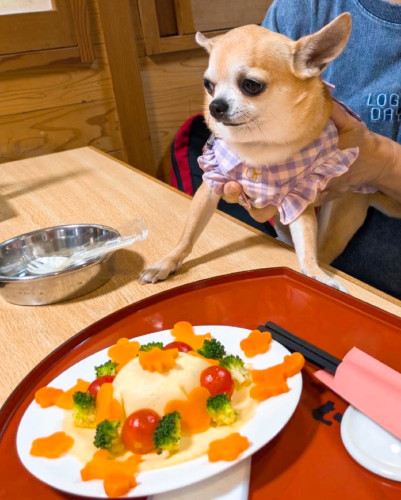 ルナちゃん、5歳誕生日おめでとうございます٩(ˊᗜˋ*)و