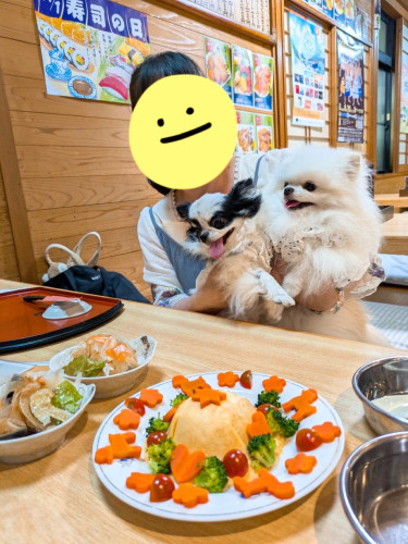 ウニくん15歳（写真右）おめでとうございます╰(*´︶`*)╯左は、たらちゃん8歳です。