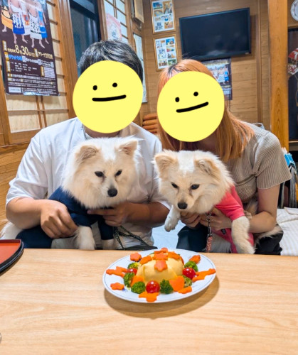白ちゃん（写真左）、まいちゃん（右）、2人とも2歳お誕生日おめでとうございます🎵