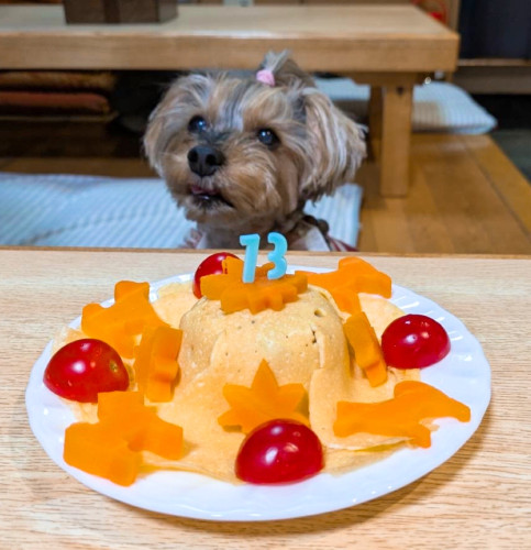 レガシィ君、お誕生日おめでとうございますo(>∀<*)o