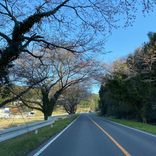 4月より営業日変更