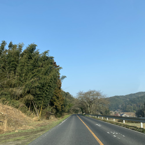こんにちは☆