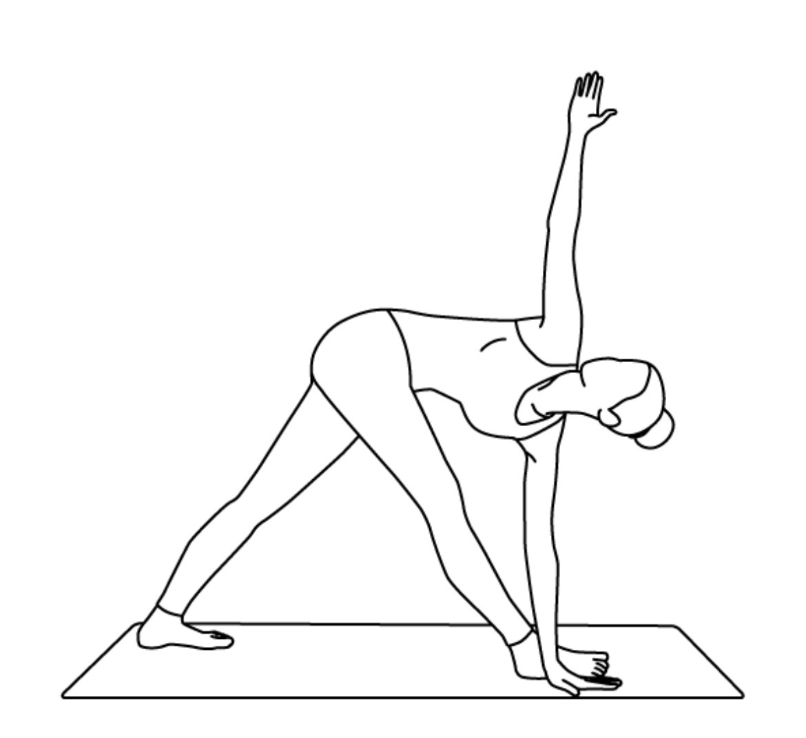 プルシャコンセプト