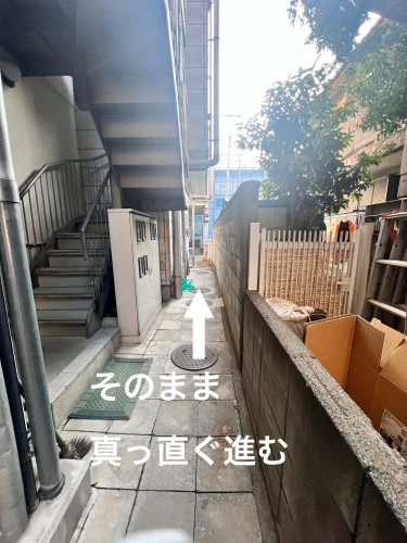 IMG_9135.jpeg
