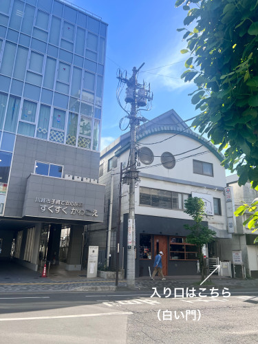 IMG_9684.jpeg
