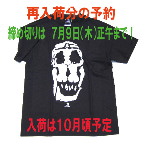 prebook_25cm.jpg