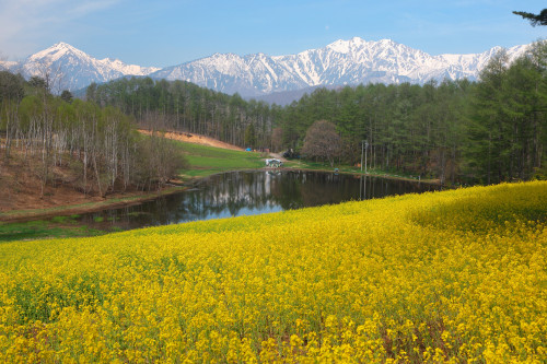 お気軽フォトクラブ Watanabe Photo Art