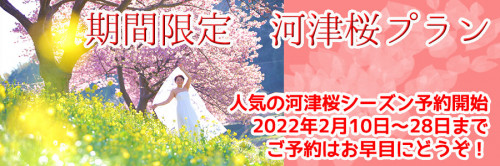 南伊豆河津桜プラン2022.jpg