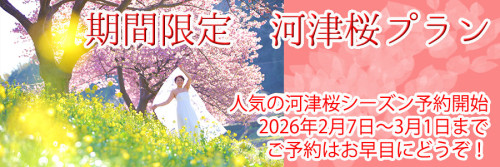 南伊豆河津桜プラン2026.jpg